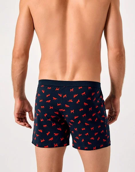 Четвертый товар из раздела мужского белья в подарок - 13-3